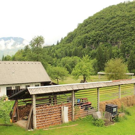 Apartments Villa Dov Bohinj Buitenkant foto