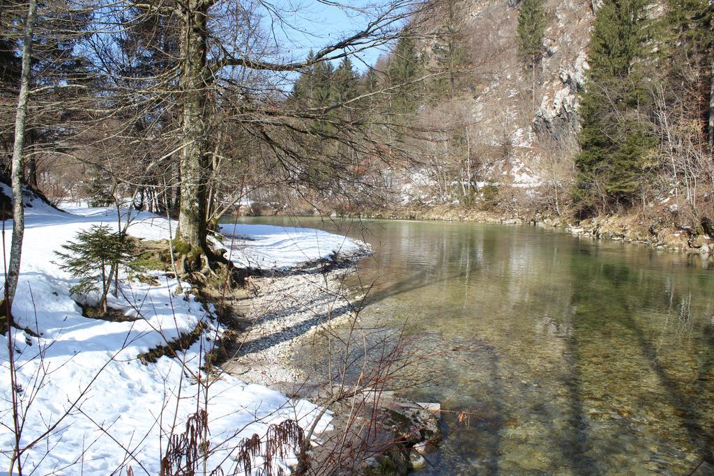Apartments Villa Dov Bohinj Buitenkant foto