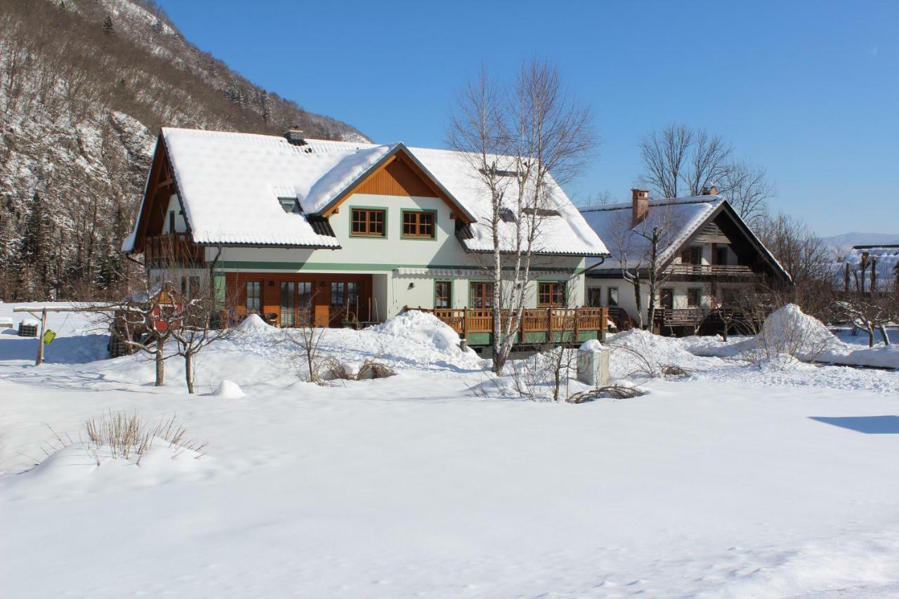 Apartments Villa Dov Bohinj Buitenkant foto