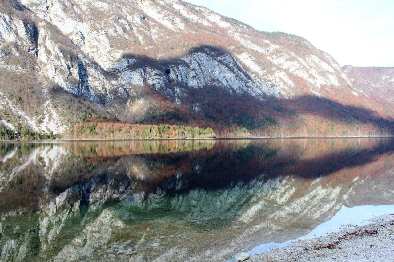 Apartments Villa Dov Bohinj Buitenkant foto