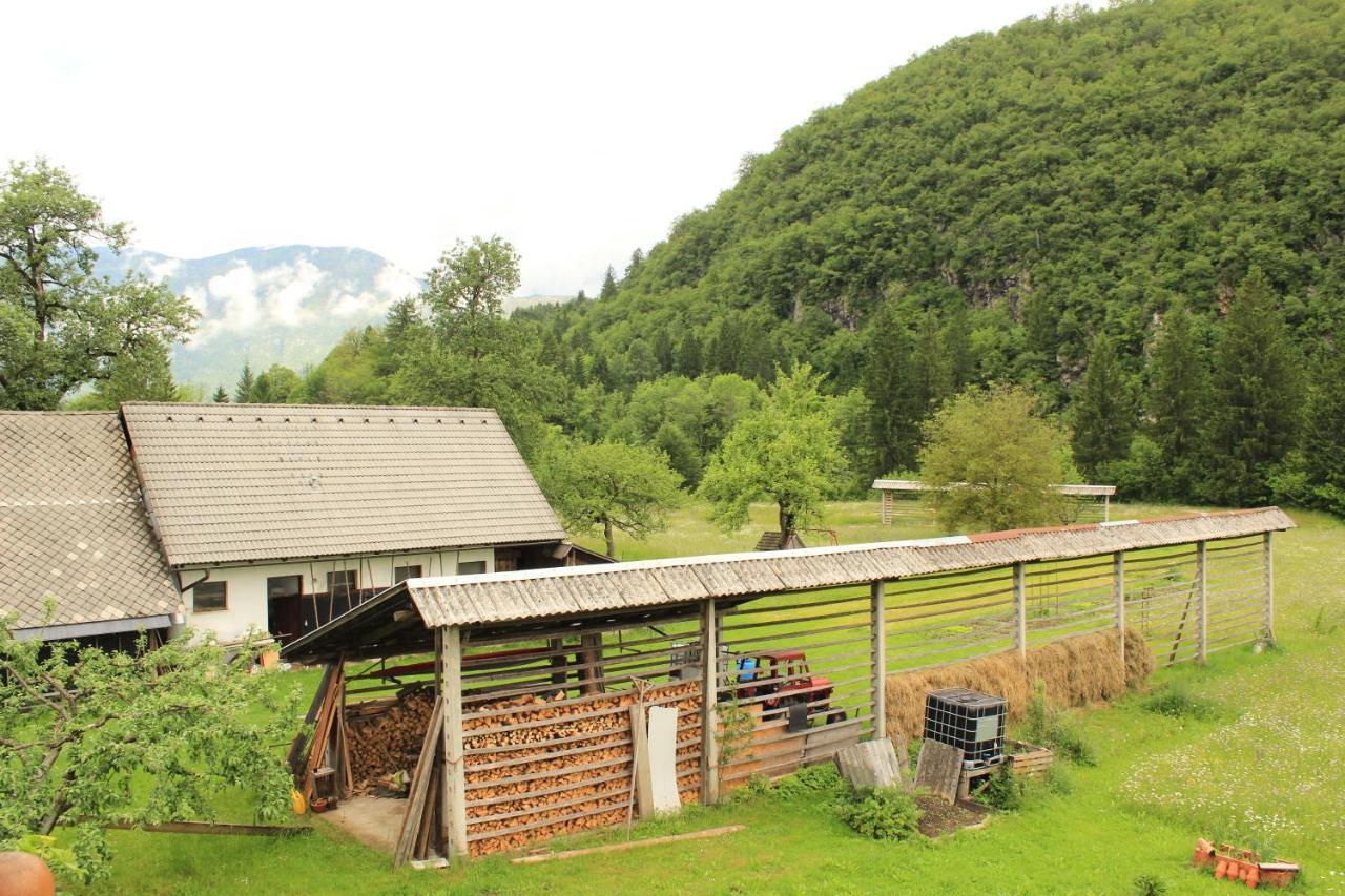 Apartments Villa Dov Bohinj Buitenkant foto